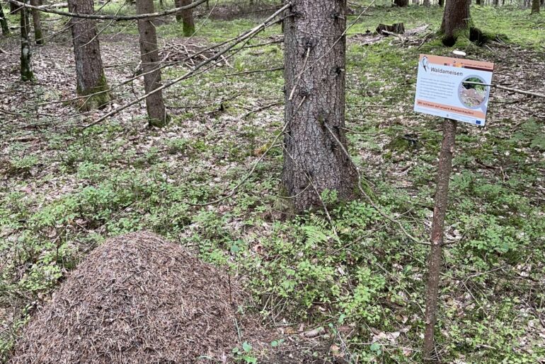 Kräuterlei am Wörthersee