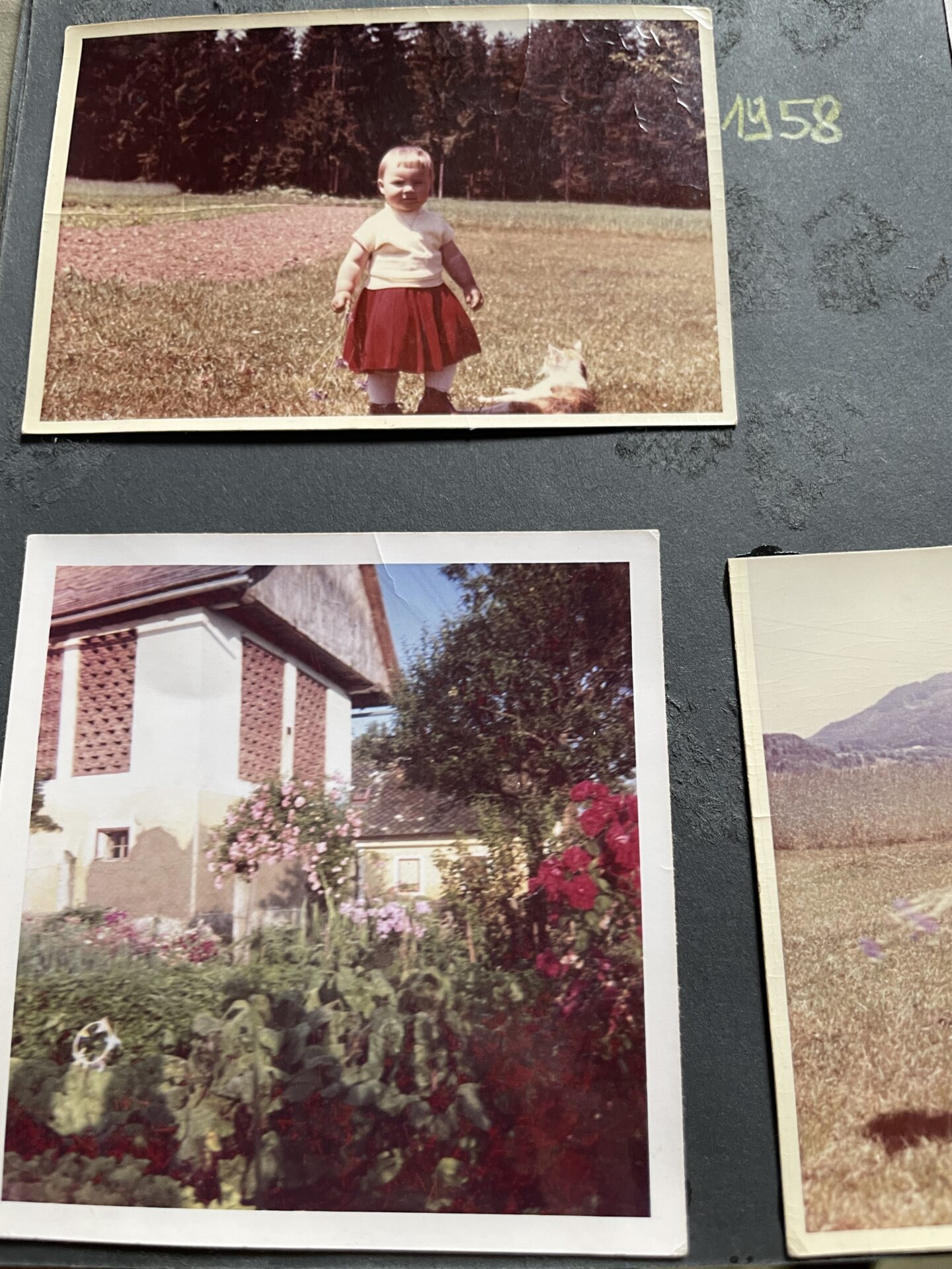 Kräuterlei am Wörthersee Schiefling