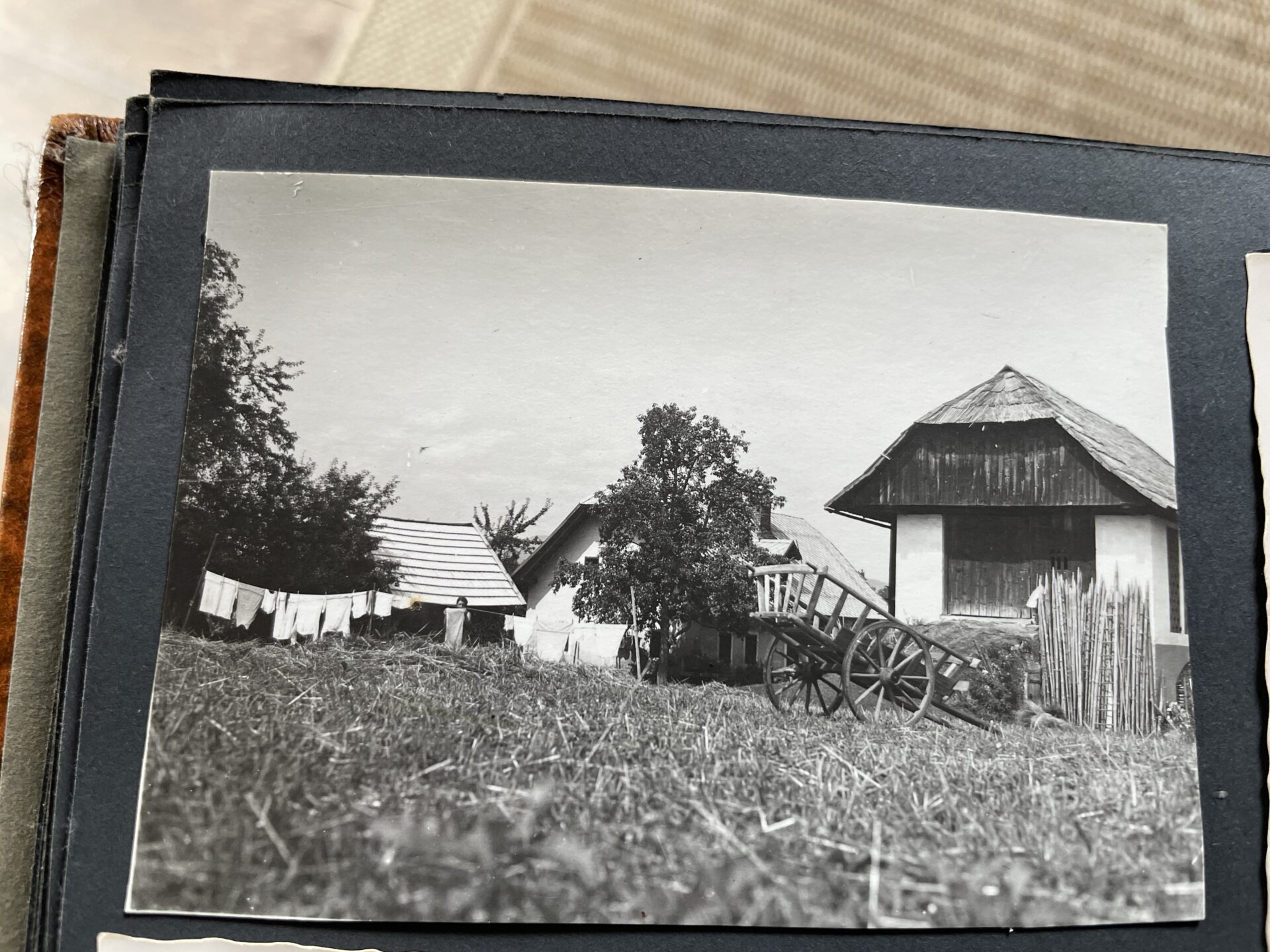 Kräuterlei am Wörthersee Schiefling