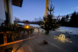 Christbaum-Recycling